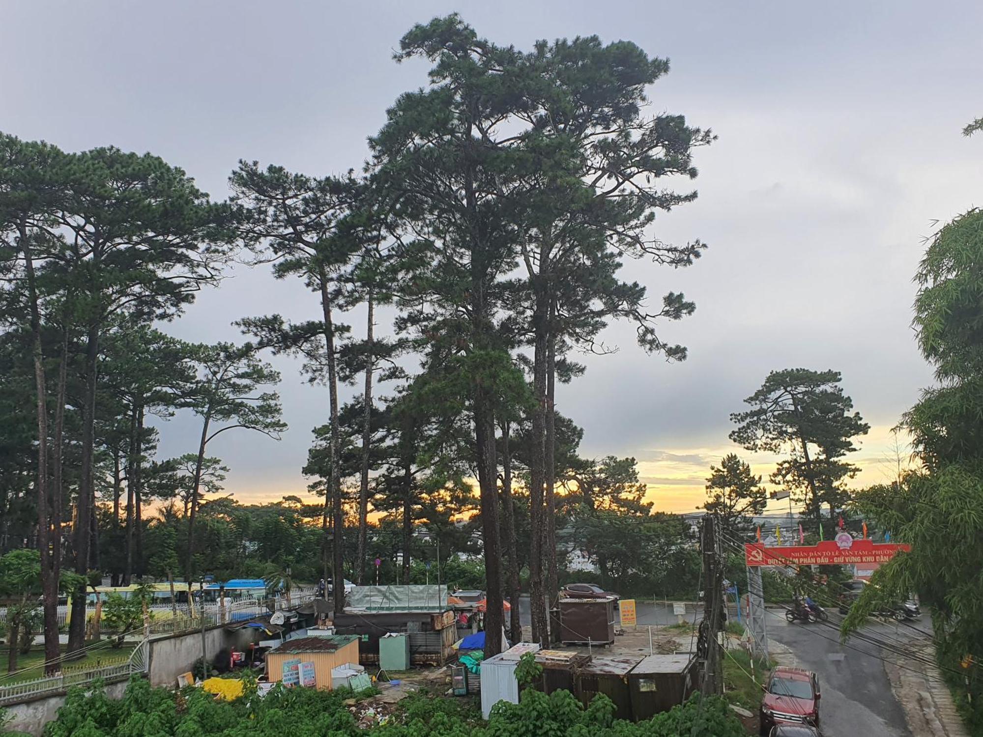 Duy Hotel Da Lat Eksteriør billede